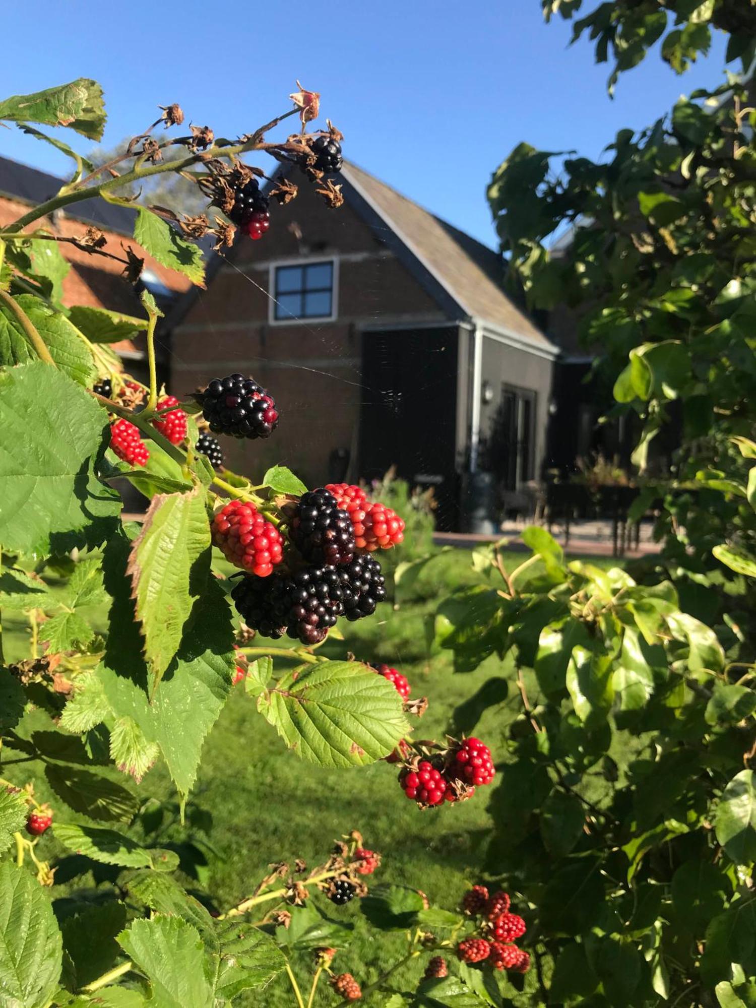 De Pastorie Bij Dokkum 3*