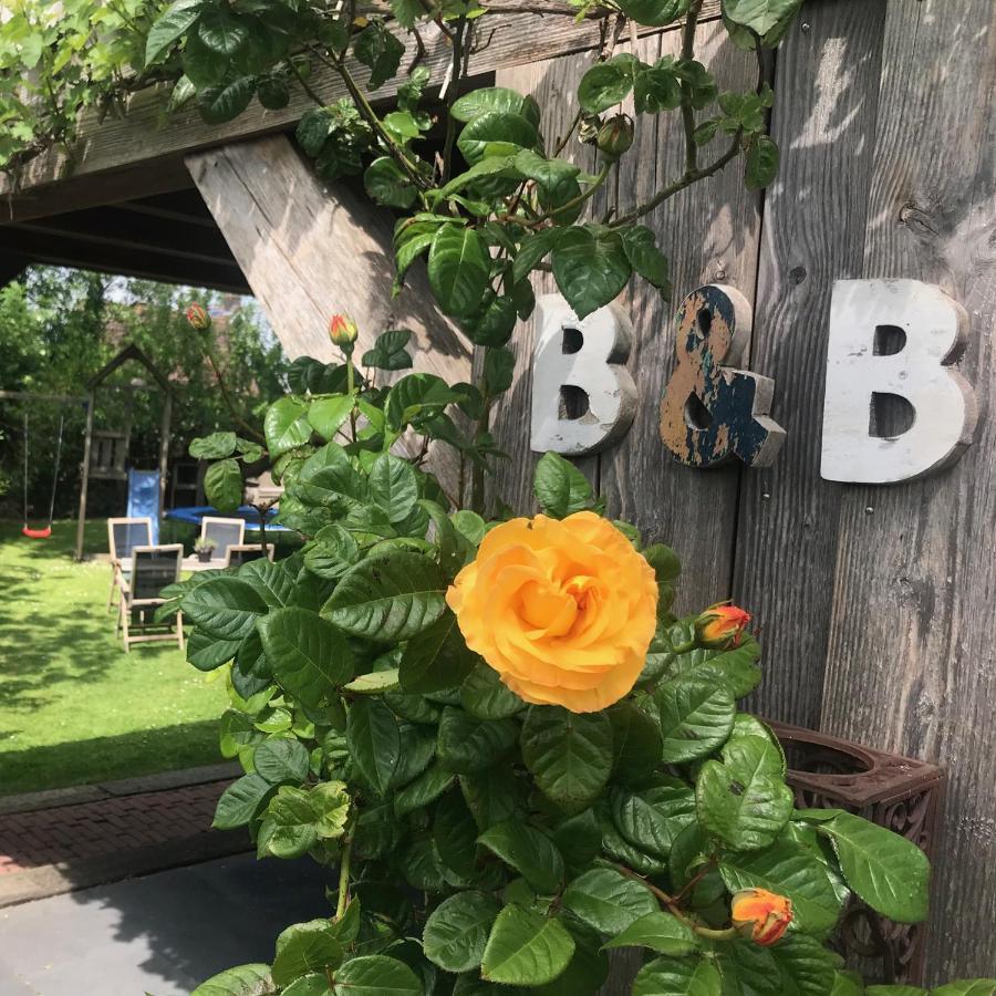 De Pastorie Bij Dokkum Bed & Breakfast Reitsum