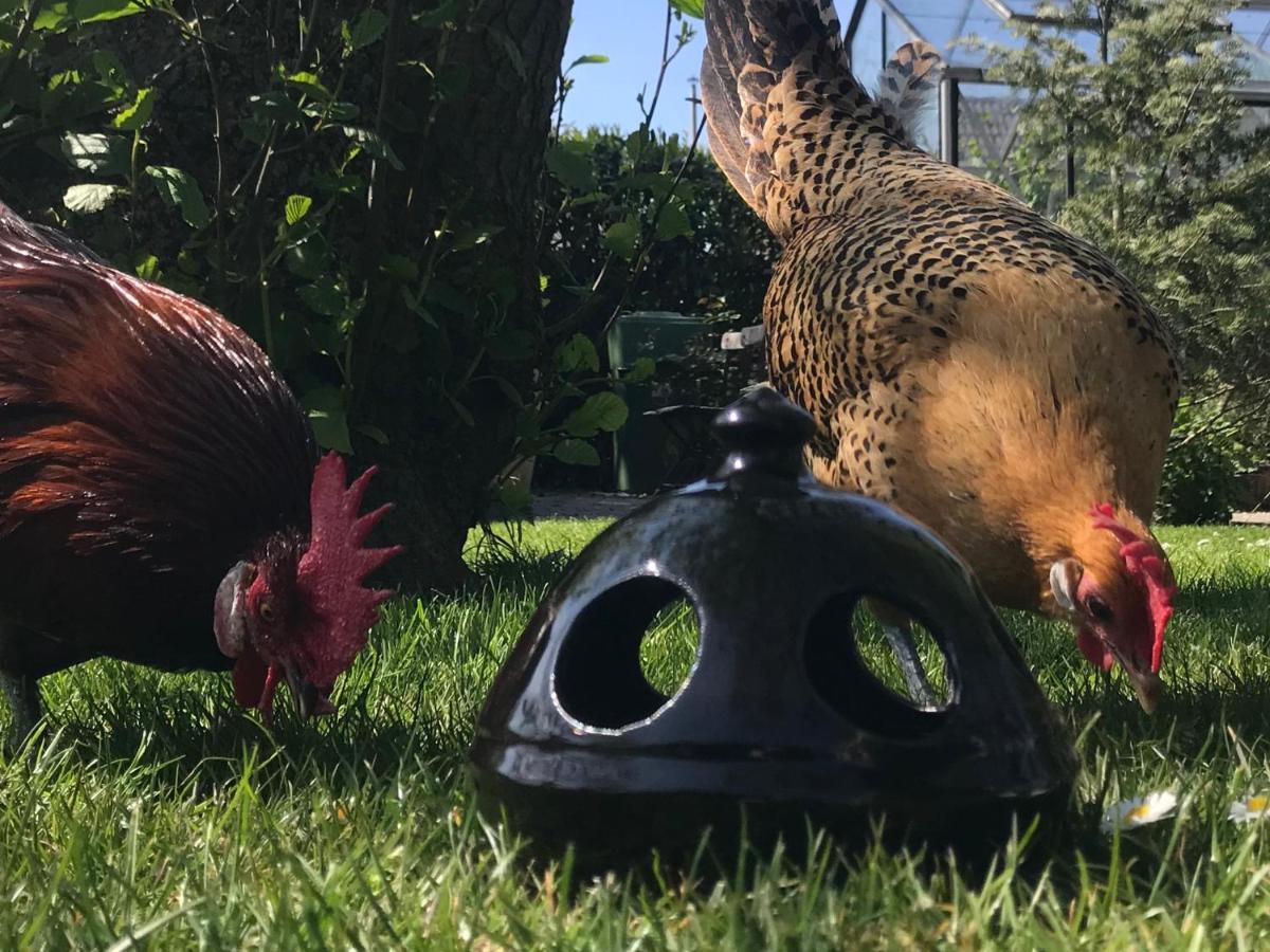 Bed & Breakfast De Pastorie Bij Dokkum